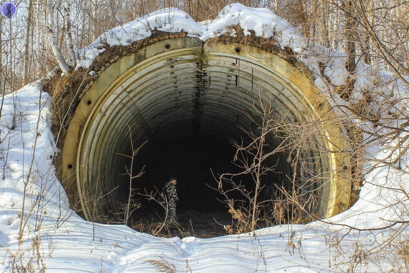 -29