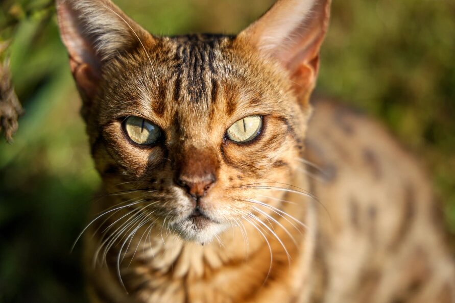    Andrey Titov/Business Online