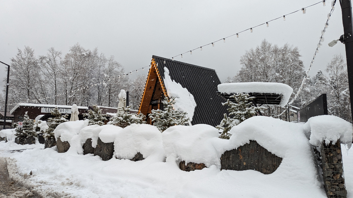 Прогулка по Домбаю 28.11.2024
