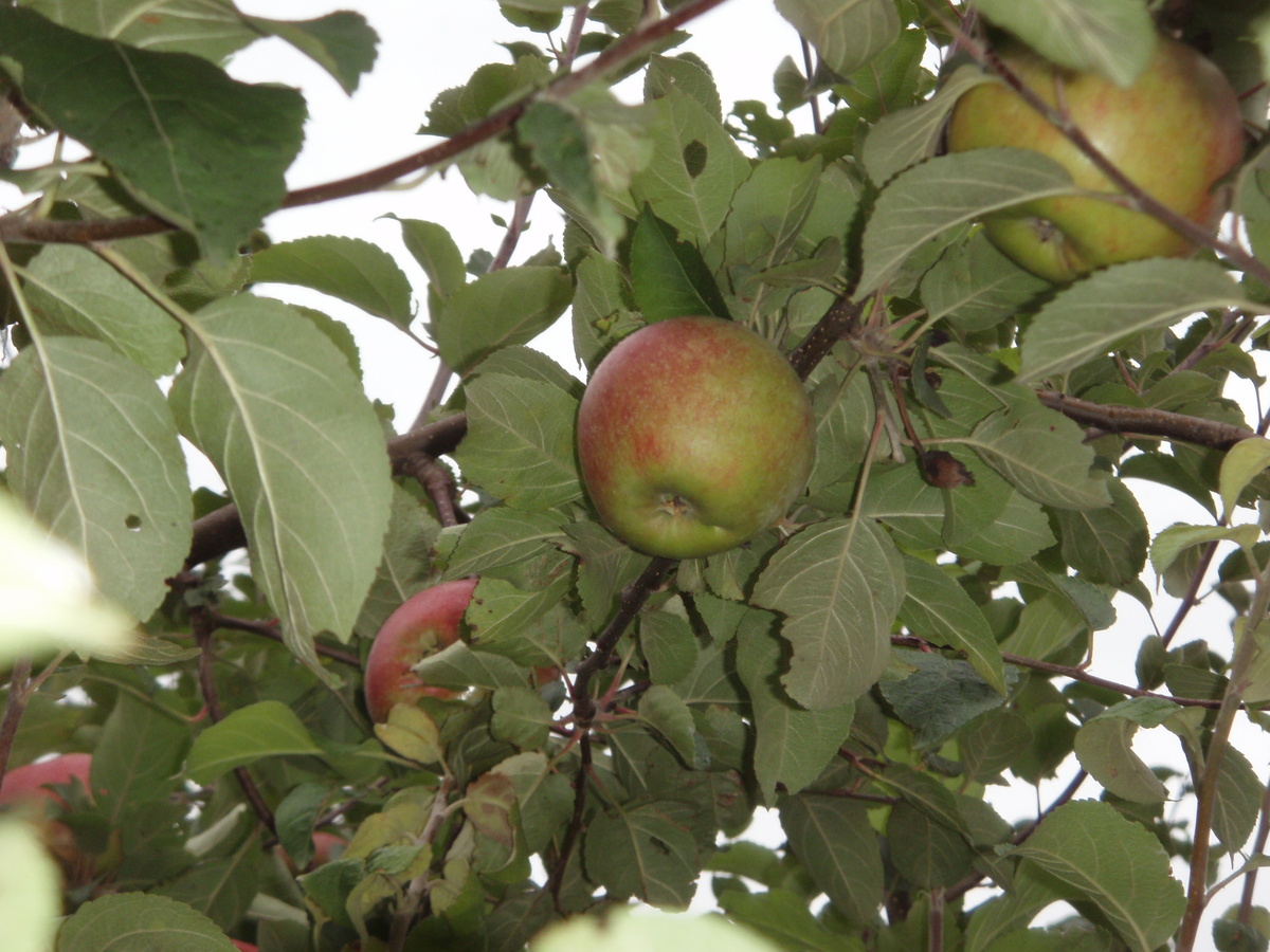 фото из личного архива