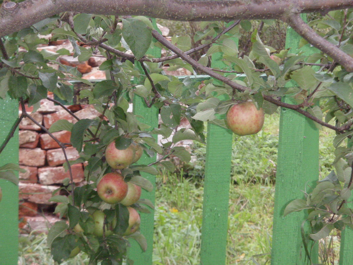 фото из личного архива