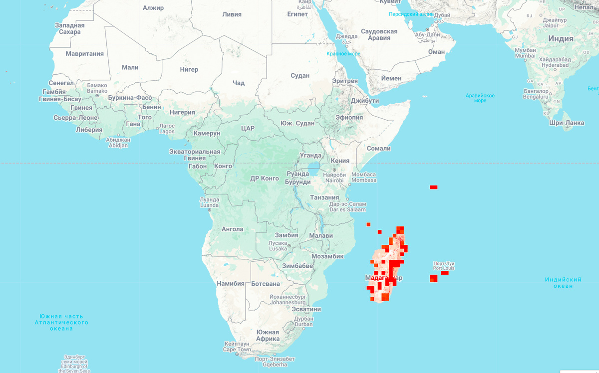 На острове Мадагаскар (31 вид, и еще 3 вида в Африке)