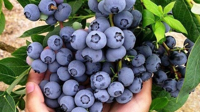 Фото с pinterest.com