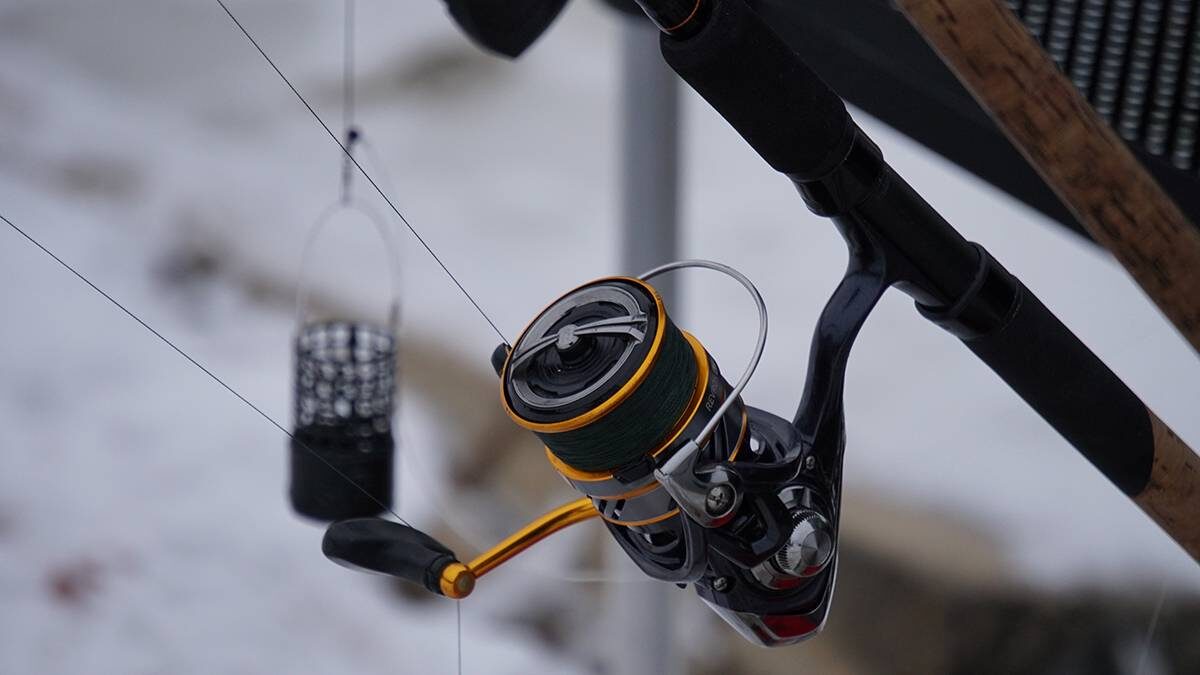    Фото: Анатолий Цымбалюк / Вечерняя Москва