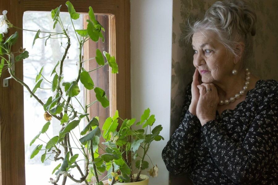 яндекс картинки