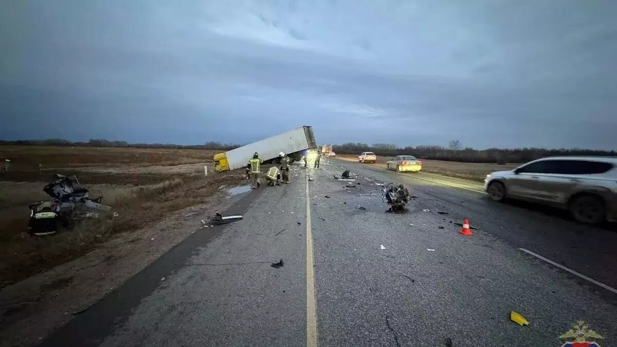     Источник: ГУ МВД России по Волгоградской области