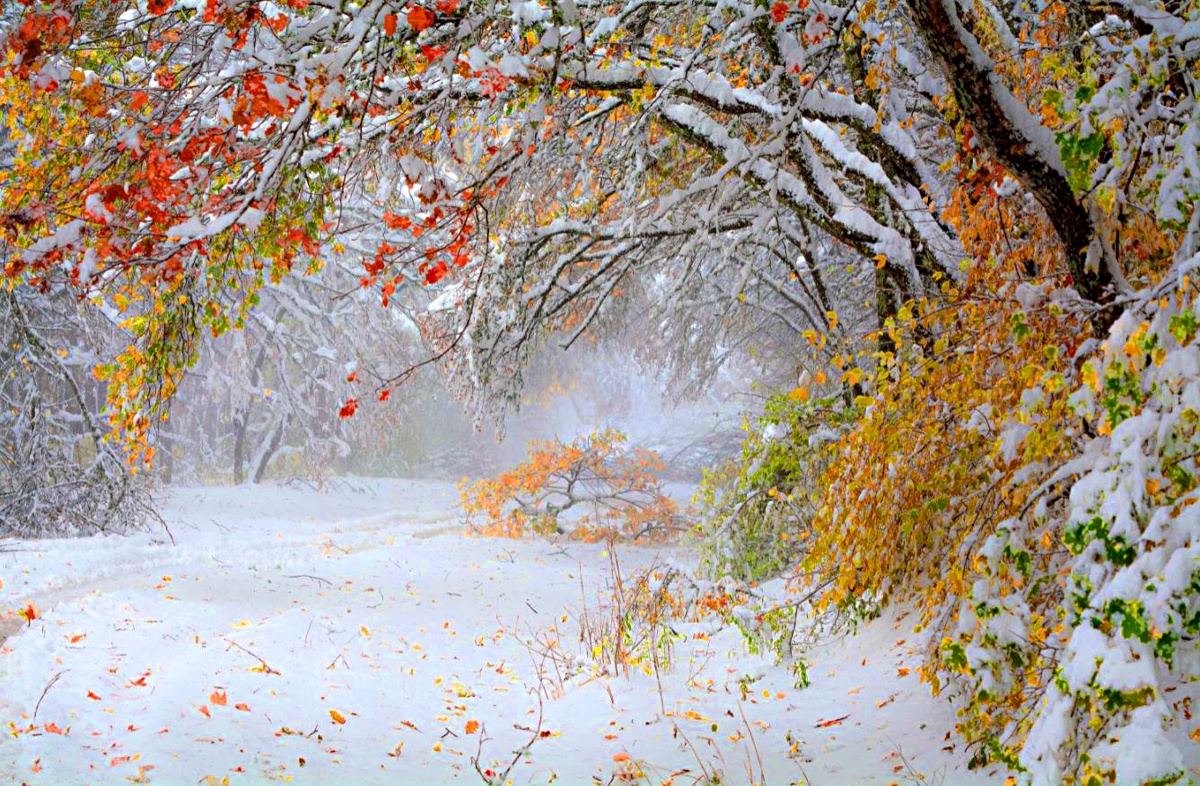 Фото взято из интернета.