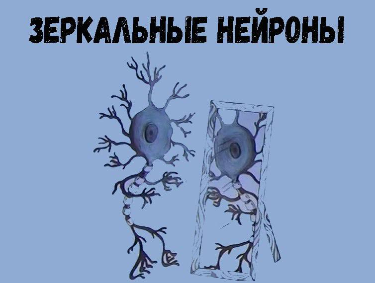 Как сразу «раскусить» человека с помощью Нейро интуиции?