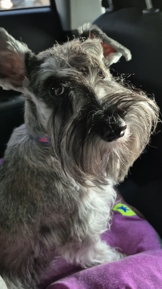 Самые умные глазки