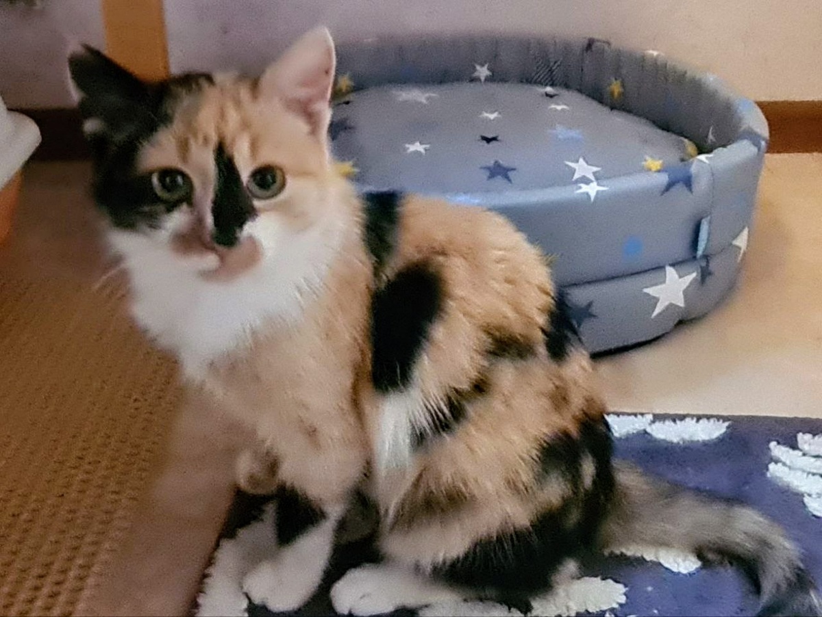 Грушенька лапочка