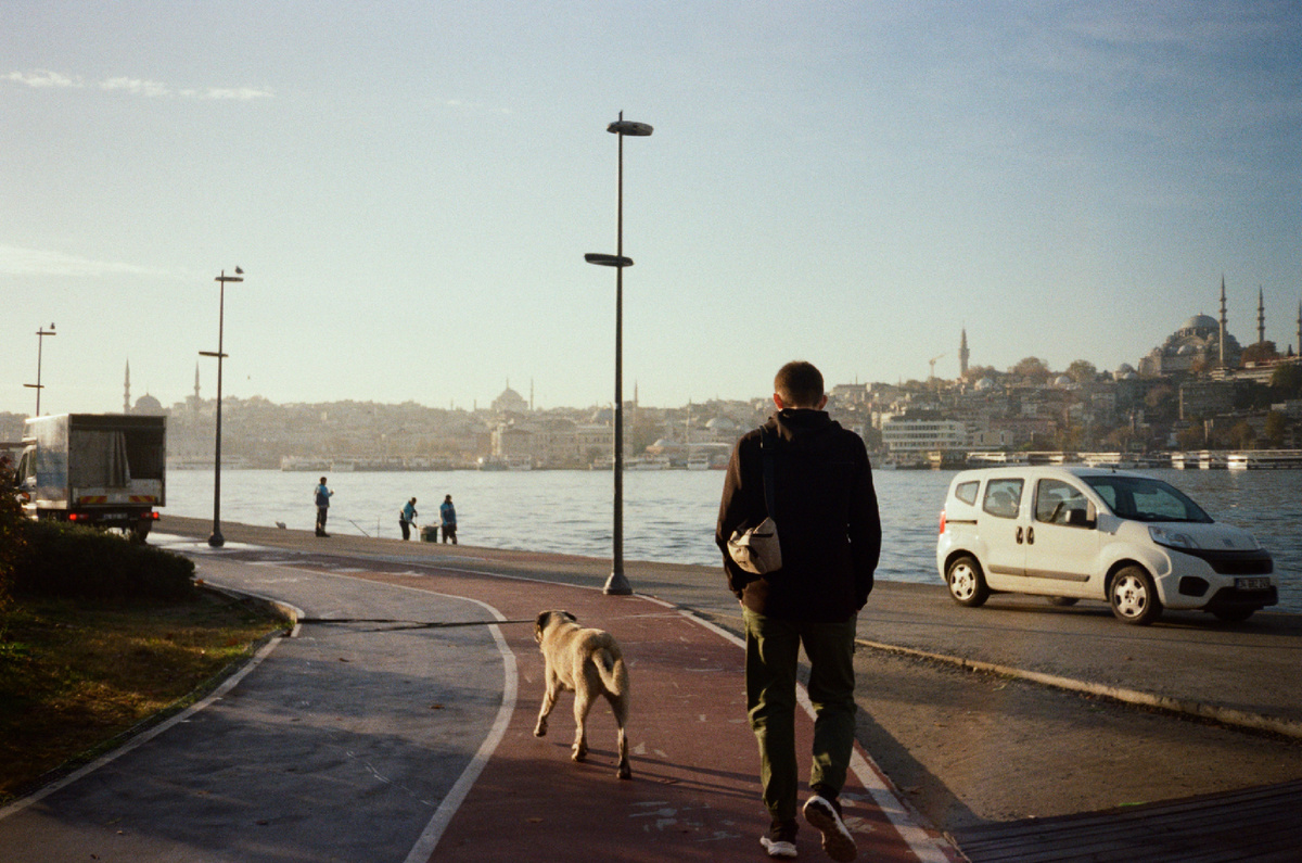 Идем гулять по Стамбулу в компании хвостатого гида