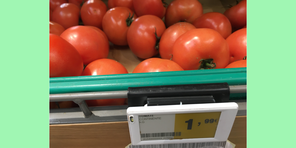 Обычные томаты. Фото автора