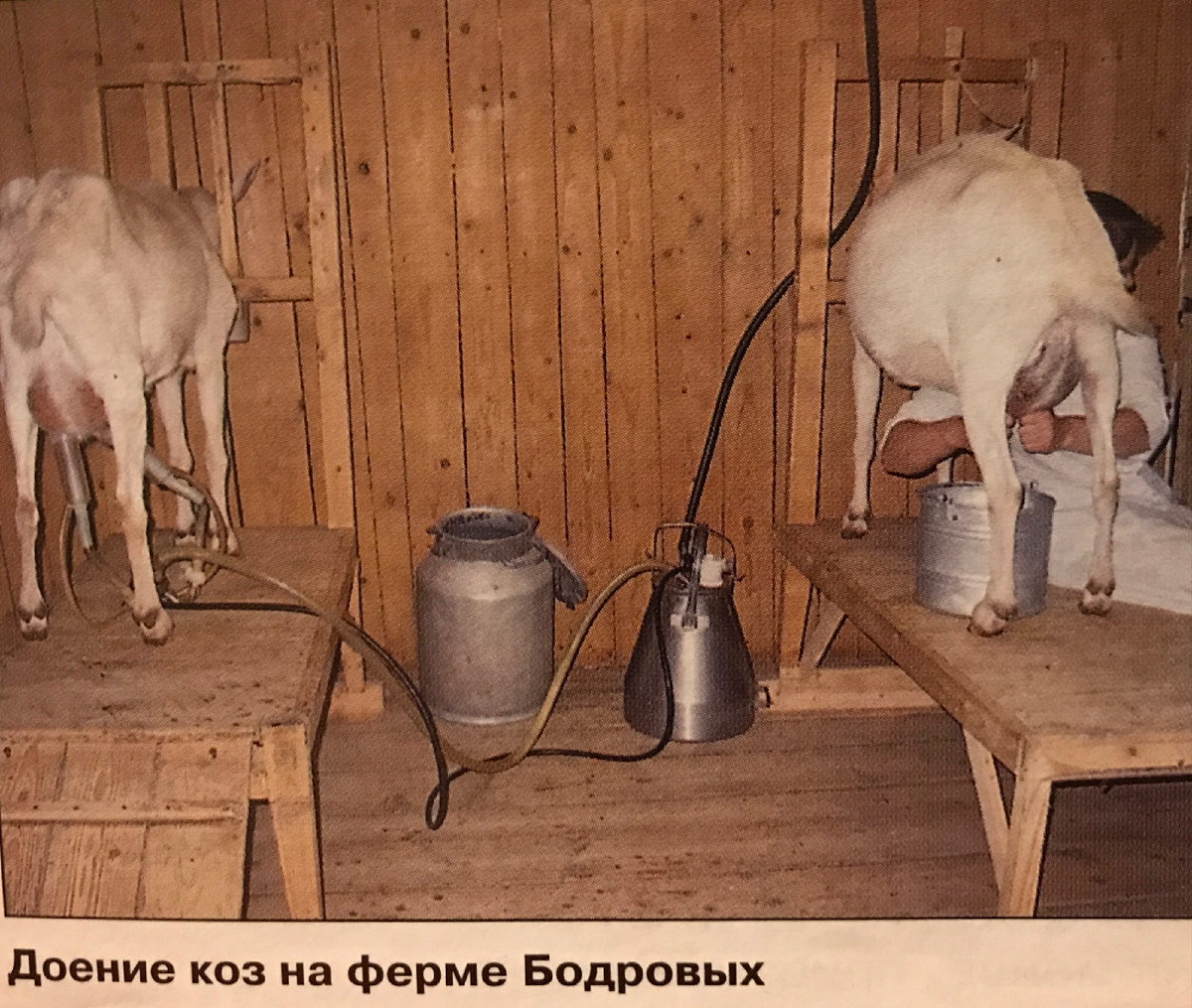 Фото из журнала