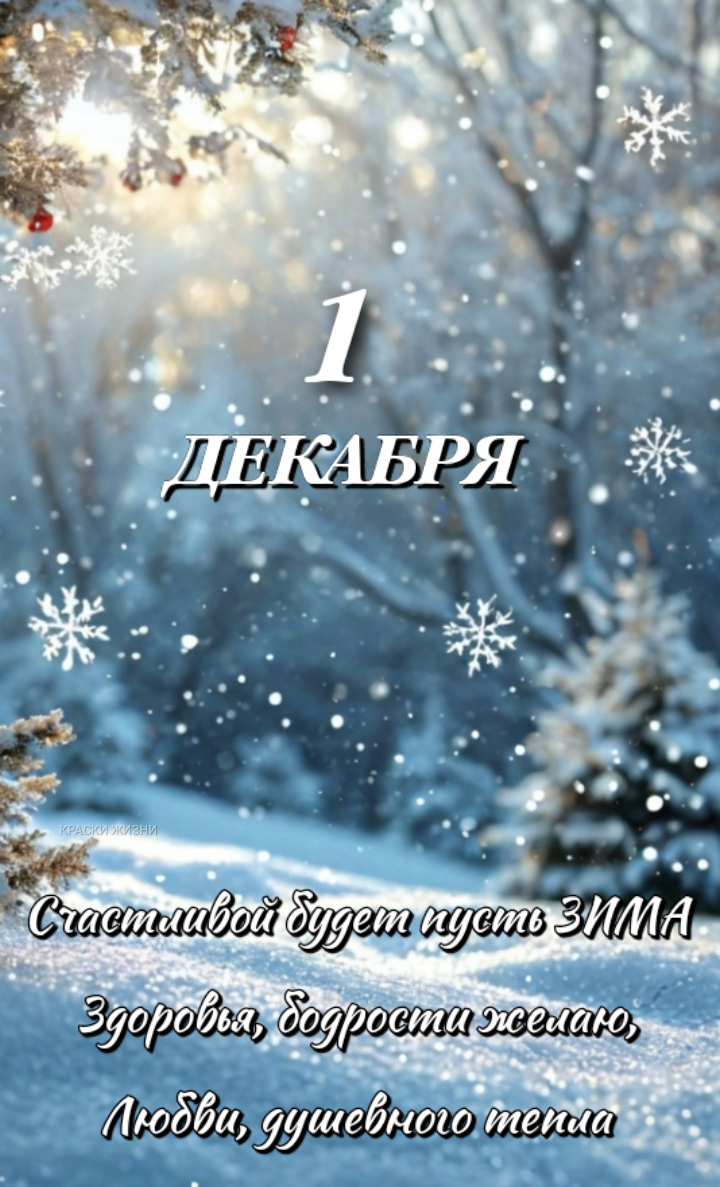 1 декабря 