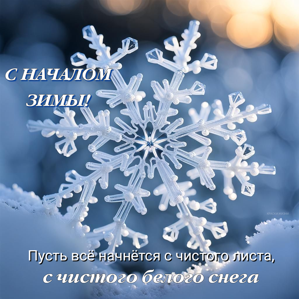 С началом зимы! Пусть все начинается с чистого листа, с чистого белого снега.