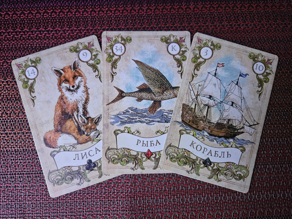 Общая энергия дня