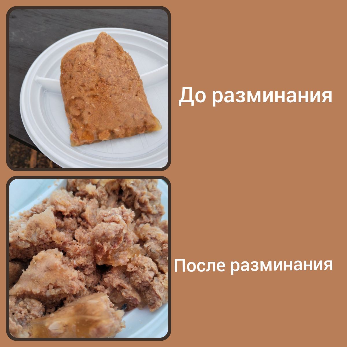 Корм Go and grow внутри 