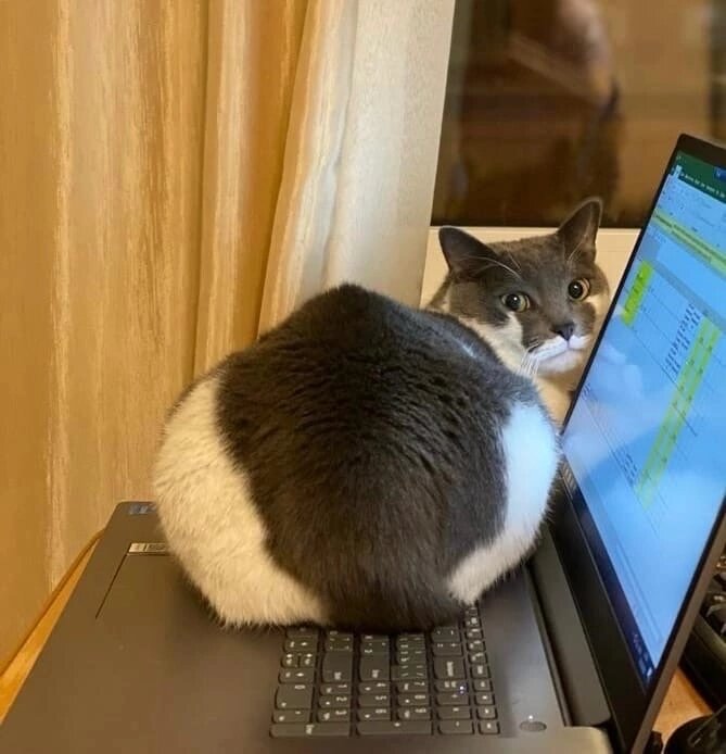 Фото из открытых источников.