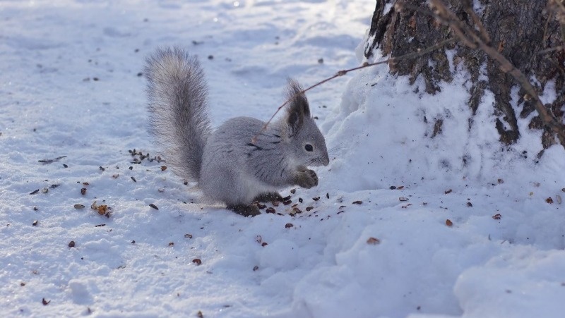 Фото: @EyeEm / freepik.com