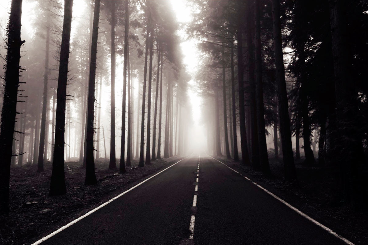 Определить свою жизненную цель и миссию и направить на них все свои усилия — это верный путь к тому, чтобы раскрыть свою истинную сущность