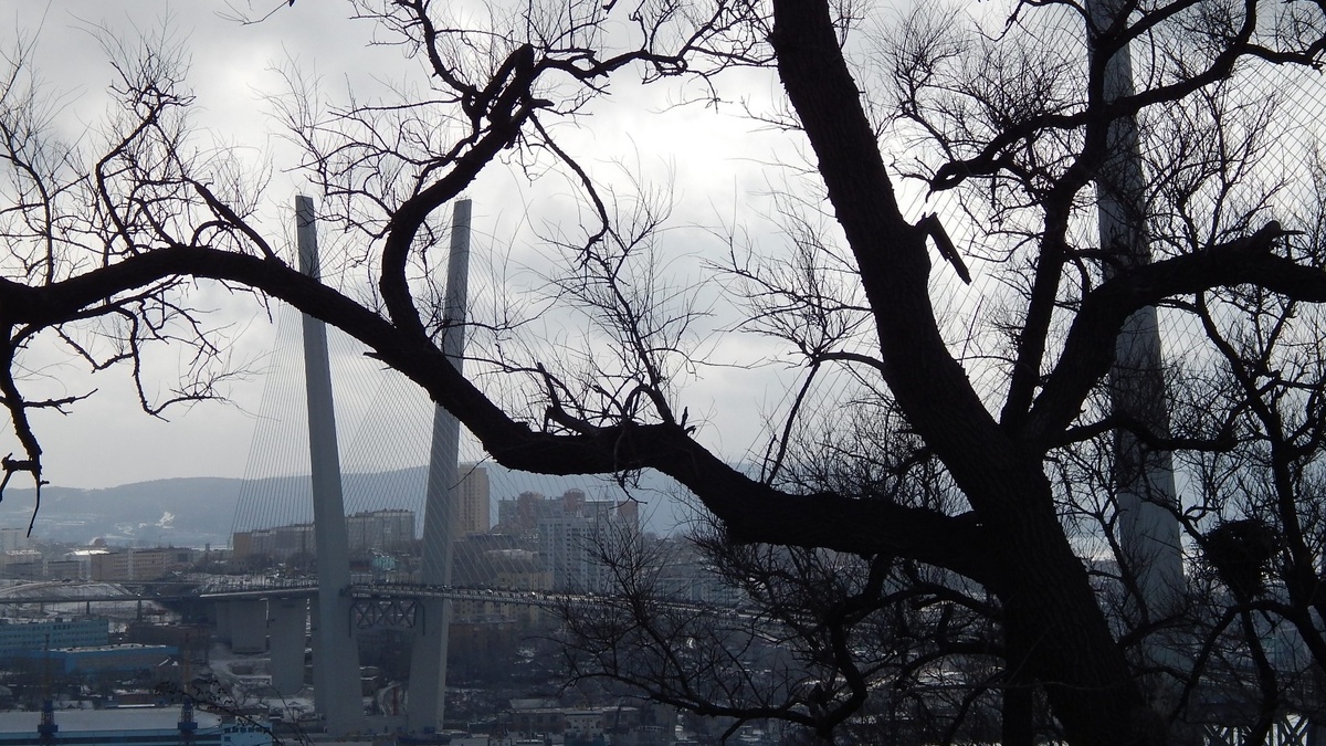     Источник: vostokmedia.com