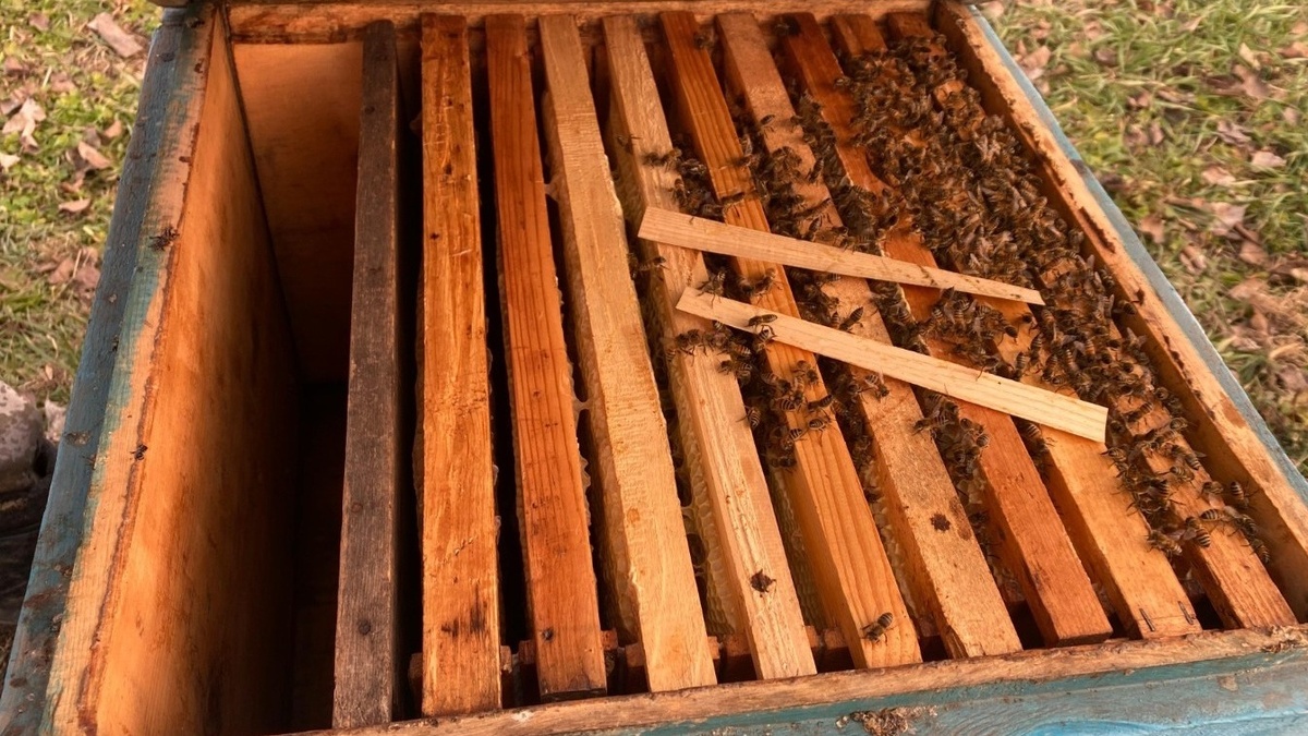     Источник: vostokmedia.com