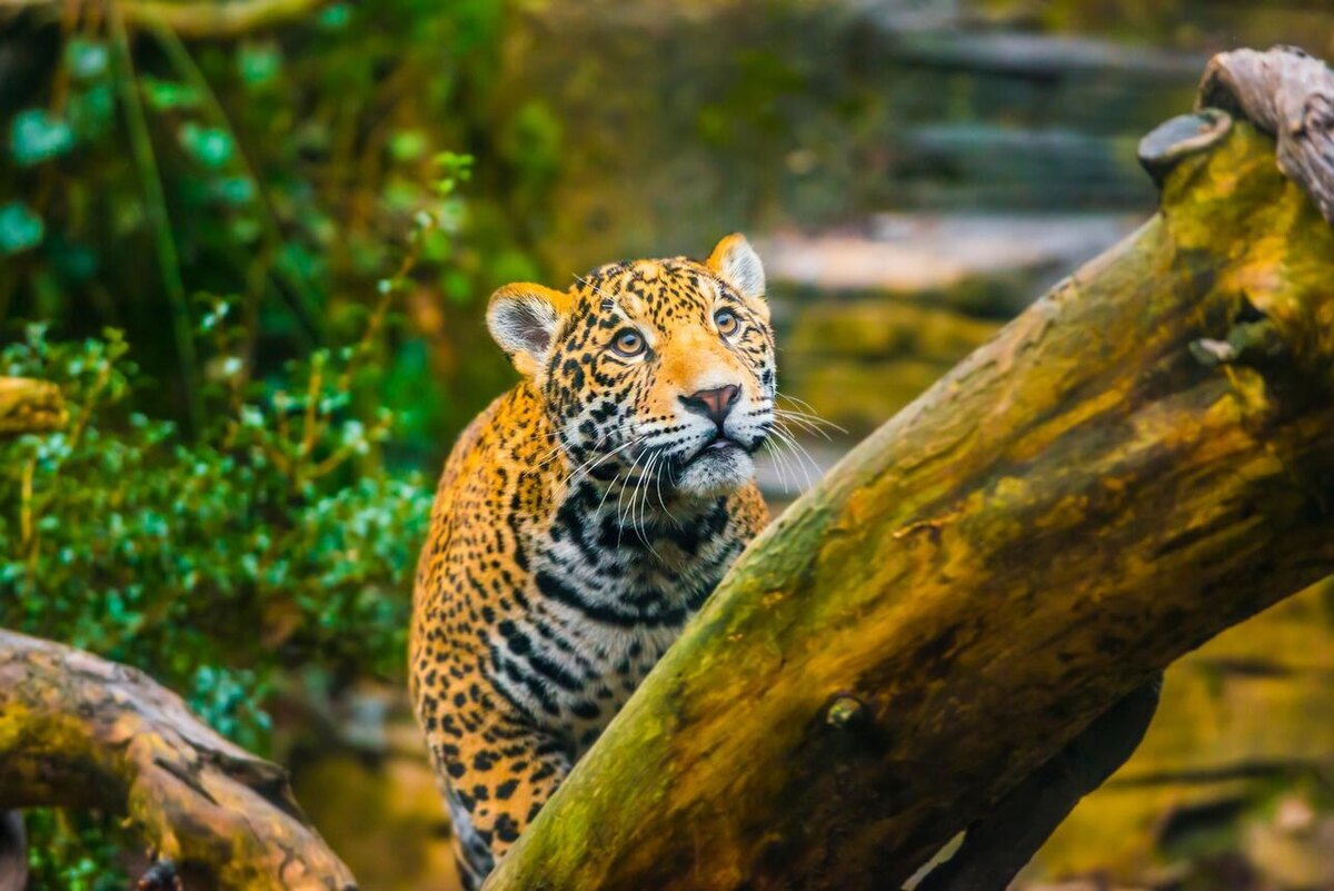     123RF/legion-media.ru