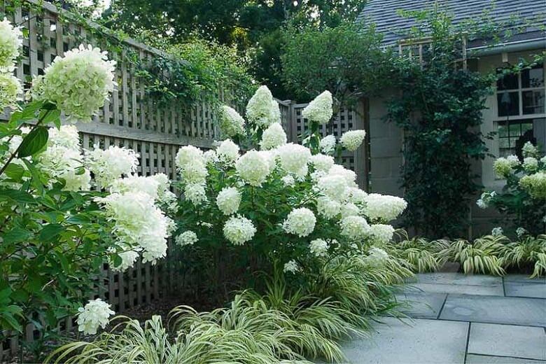 Фото с сайта pinterest.com