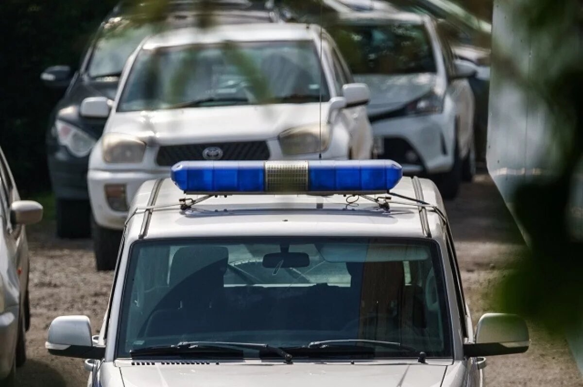    На выходных на Камчатке будут ловить пьяных водителей