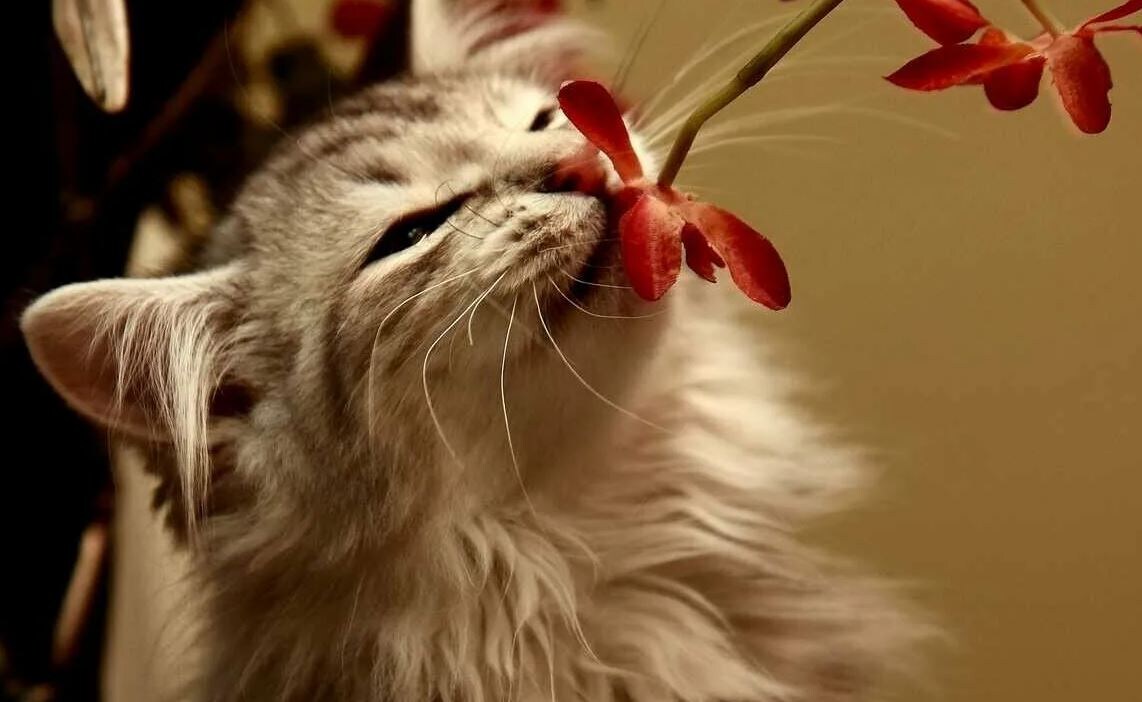 Источник: Яндекс картинки