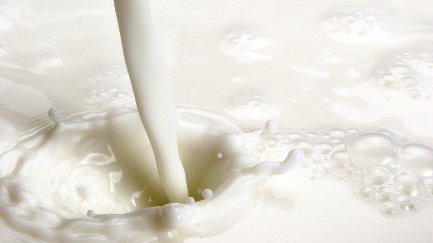    Фото: www.globallookpress.com/Stefan Klein