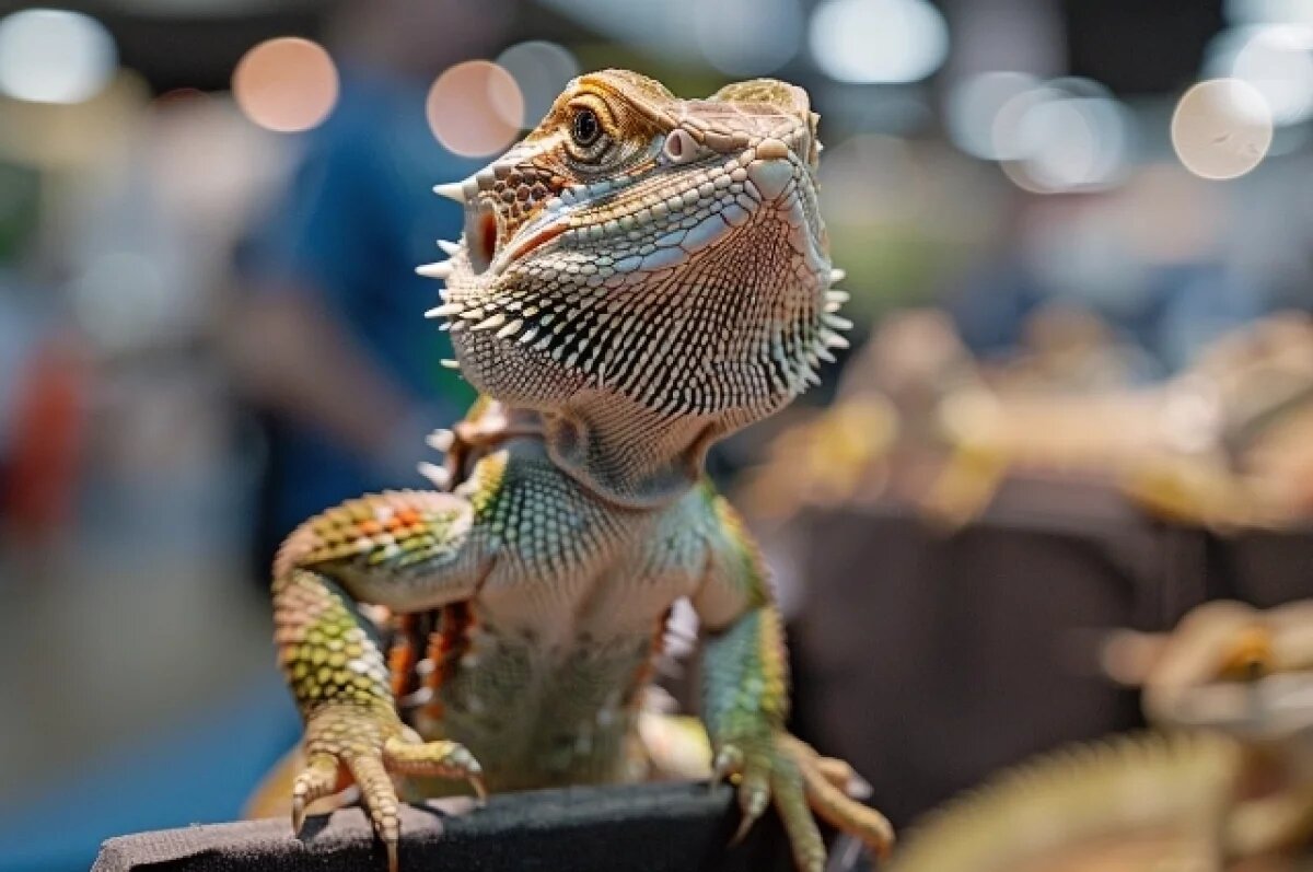    Змеиные уловки используют аферисты в Хабаровске перед Годом Змеи