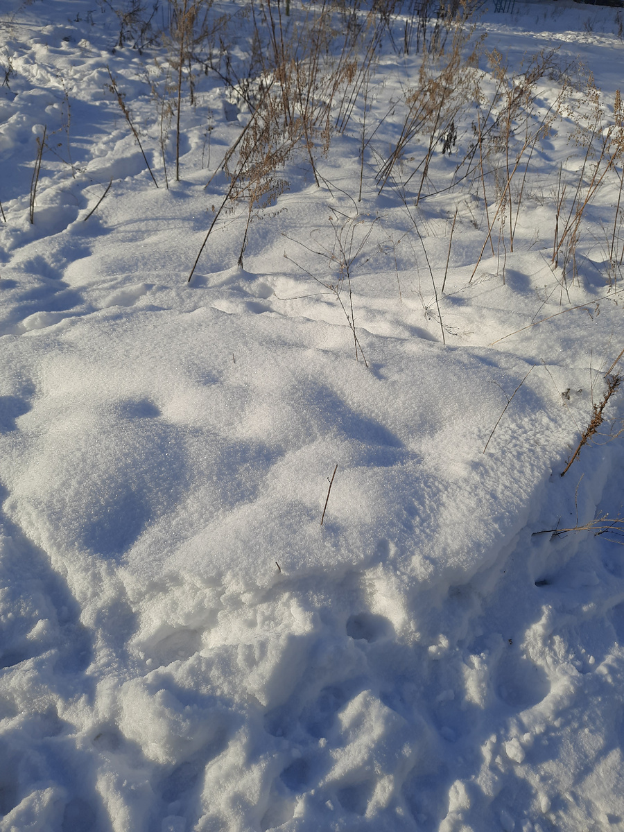 Снег блестит