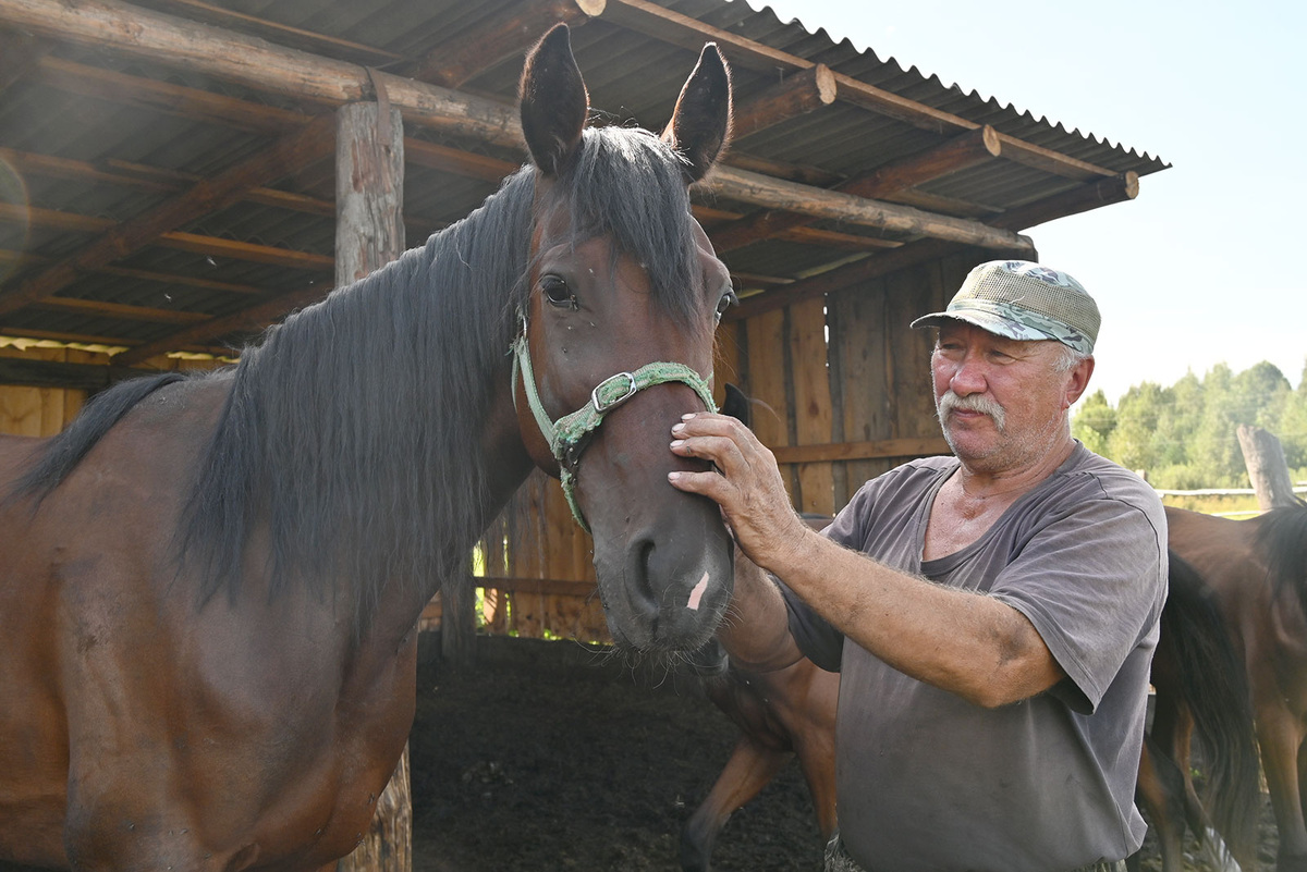 Николай Сергеев со своей племенной лошадью