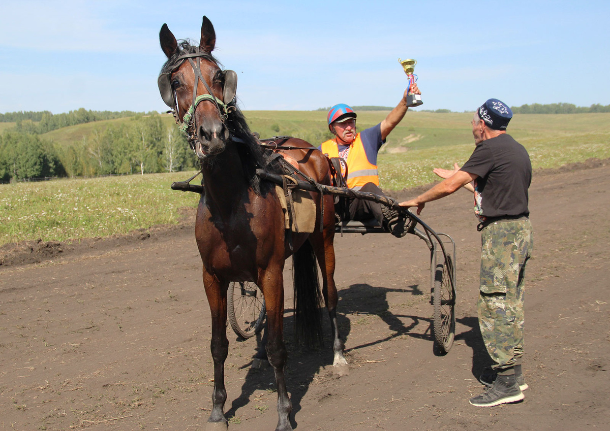 Второй год подряд фермер занимает первое место в заездах на качалке