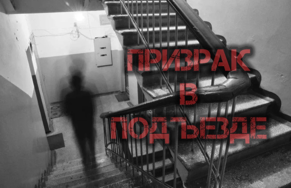 Фото из интернета 