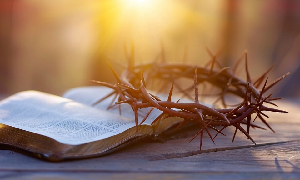 Фото: ru.freepik.com