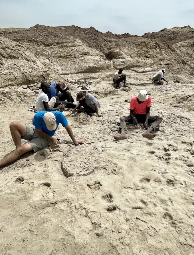 В 2022 году члены исследовательской группы раскопали поверхность пути. Нил Т. Роуч/ Гарвардский университет.