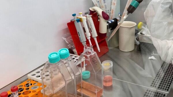    © Sputnik / Екатерина Воробьева