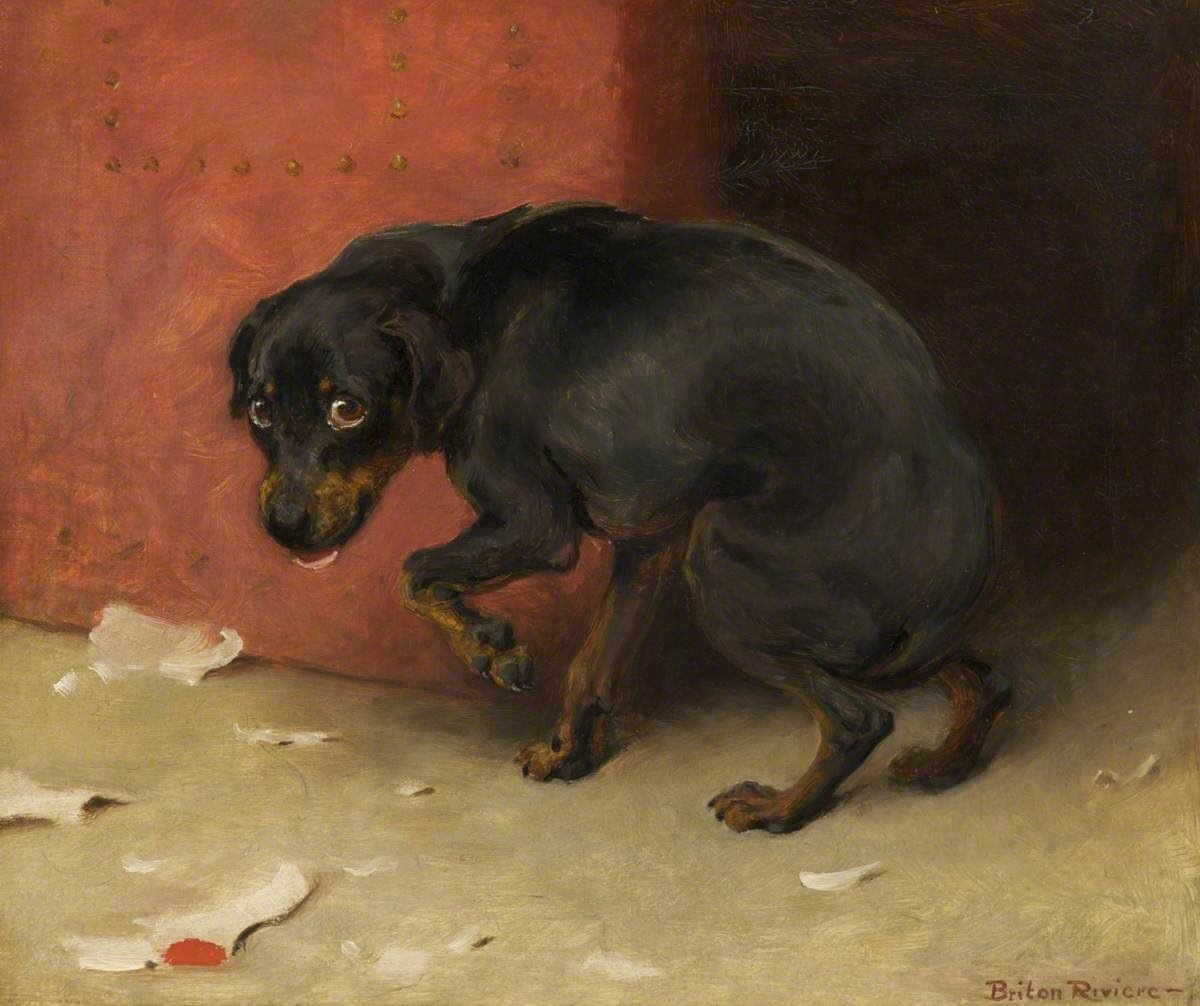 Фото: Брайтон Ривьер, "Бездомный пёс"