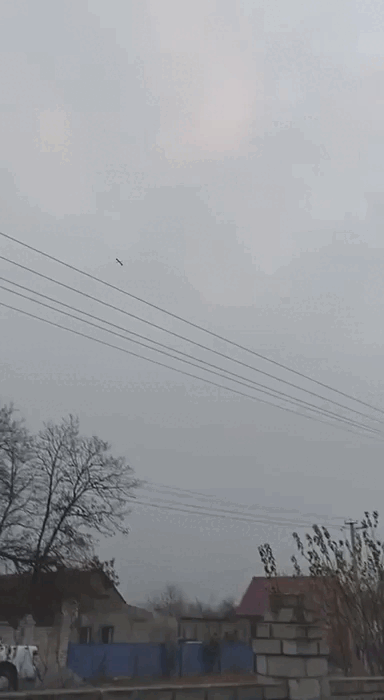    Видео: Telegram/Donrf