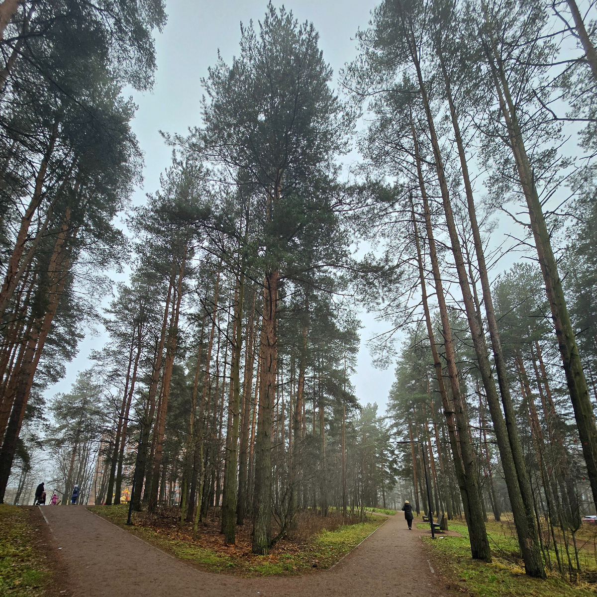 Конец ноября. Ленинградская область. Я даже шапку ещё ни разу не надевала