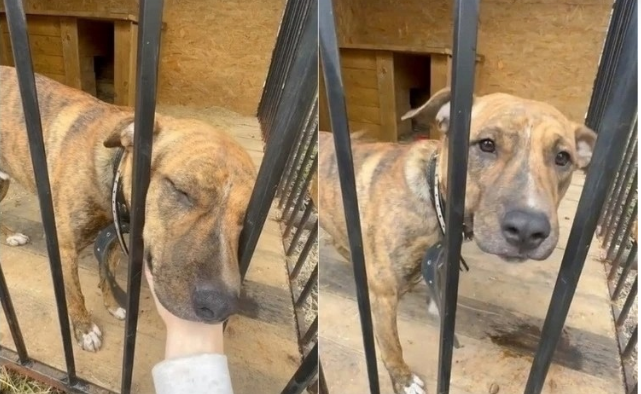 Фото: соцсети 