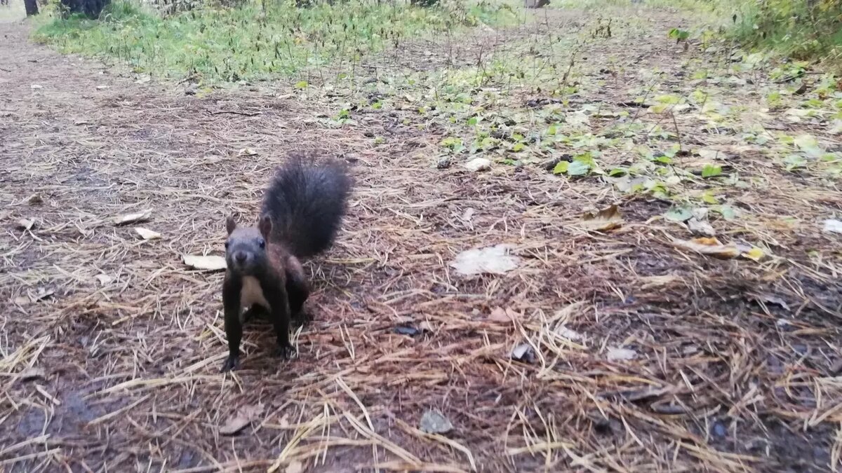     Источник: prmira.ru