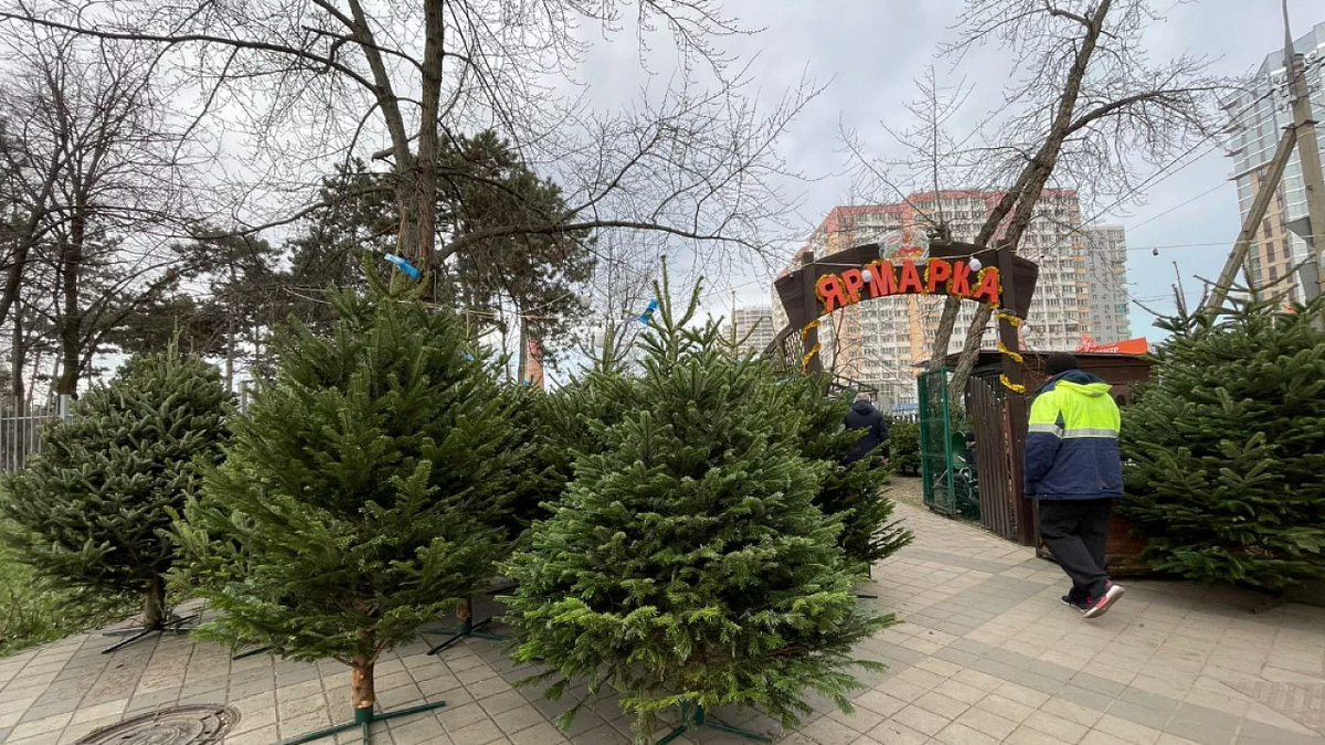    Фото: телеканал «Краснодар»