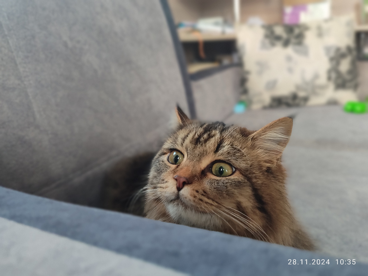 Масяня. Готова бесогонить