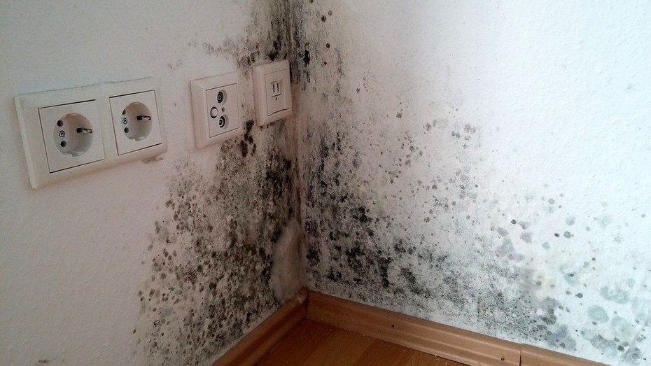 Конденсат в доме: как избавиться от сырости и почему она появляется