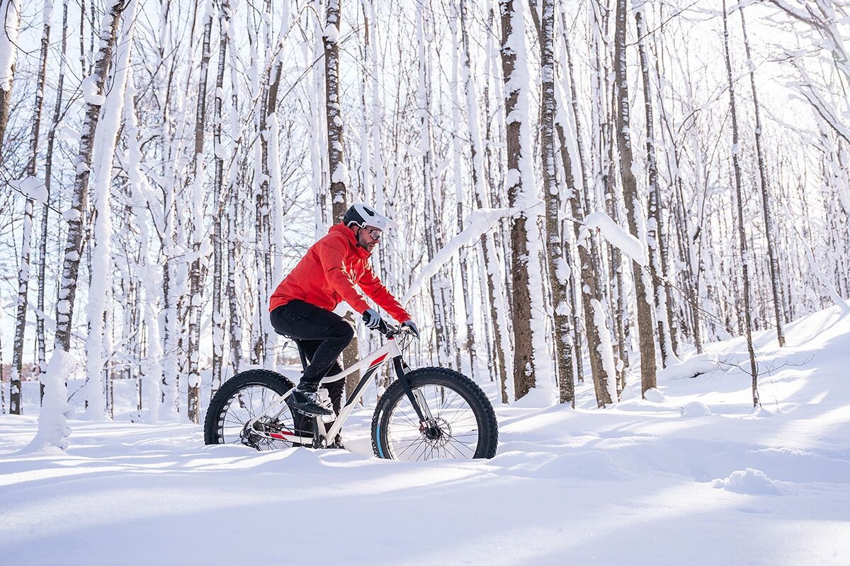 Рассказываем, как выбрать велосипед с широкими колесами для зимы. Источник: Shutterstock📷
