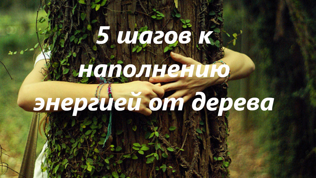 Деревья или дают нам позитивную энергию, или забирают негативную