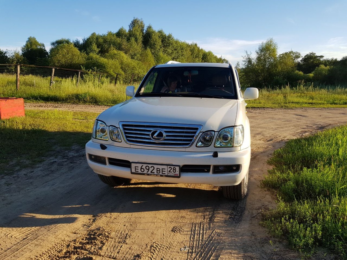 Старый конь борозды не испортит